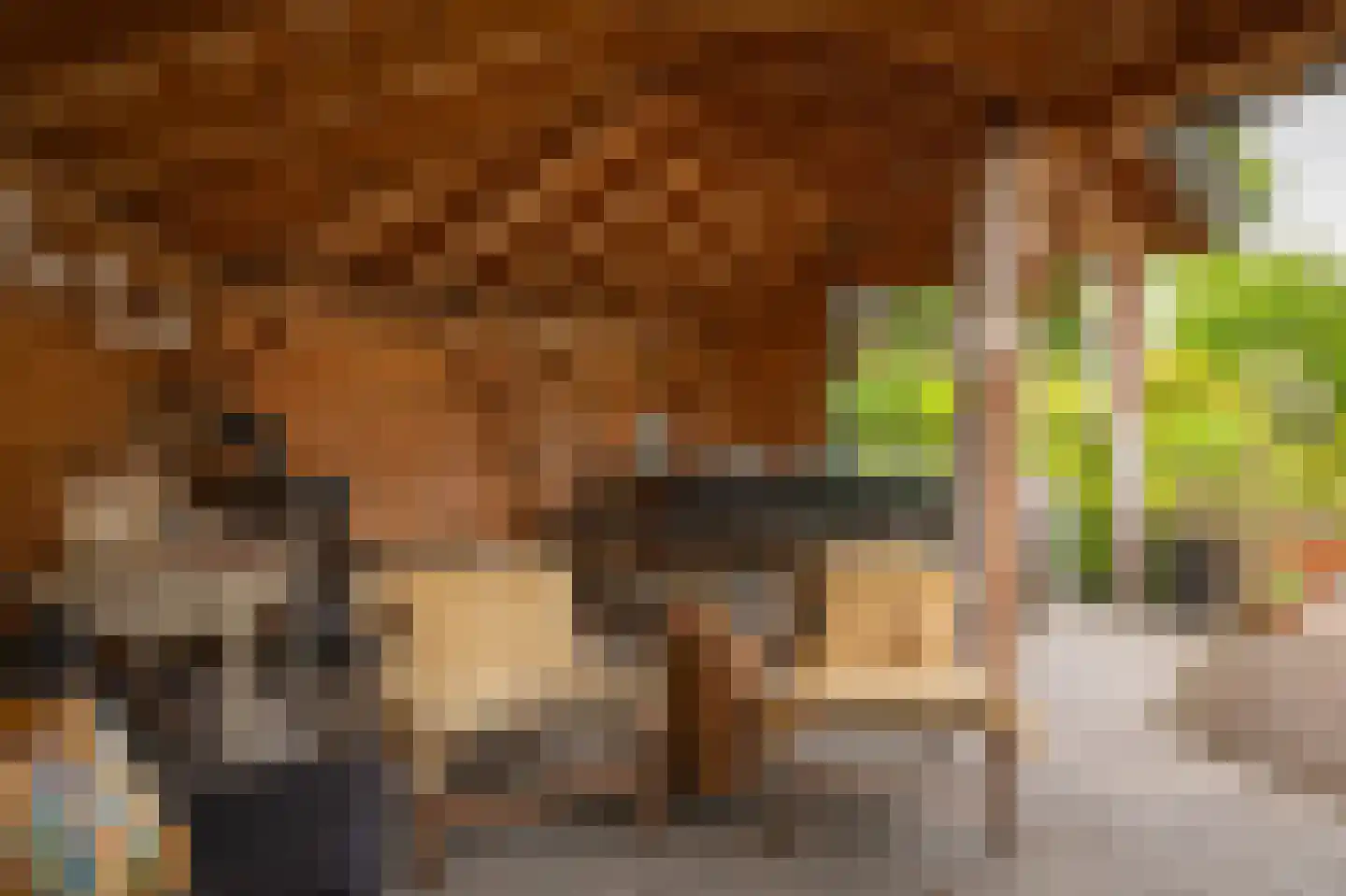 Gewestlaan 2 Diepenveen thumbnail 56