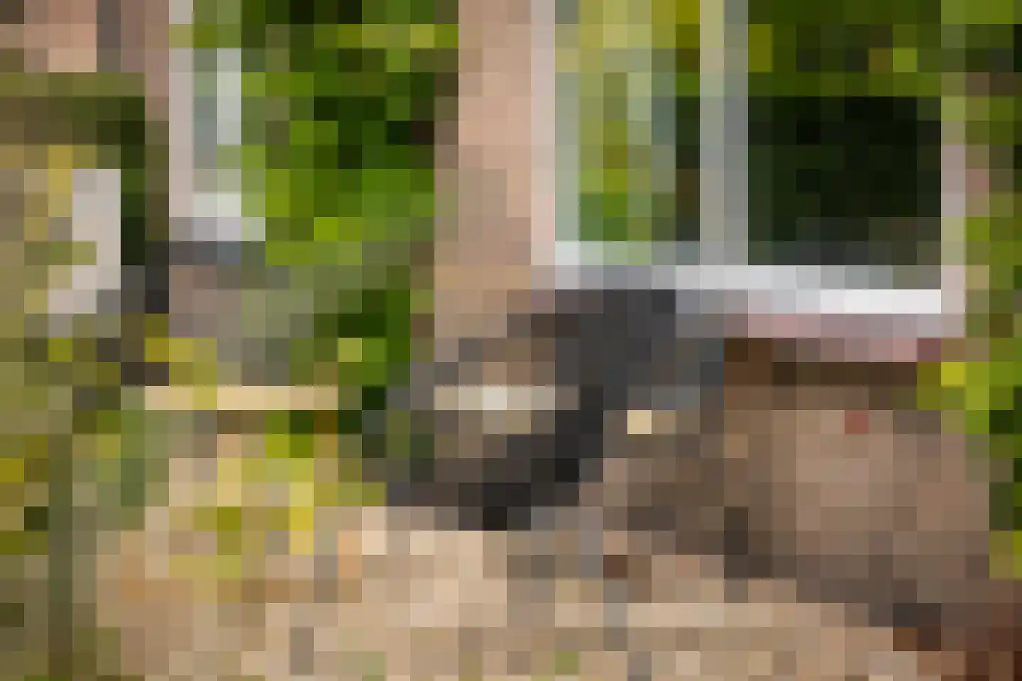 Gewestlaan 2 Diepenveen thumbnail 58