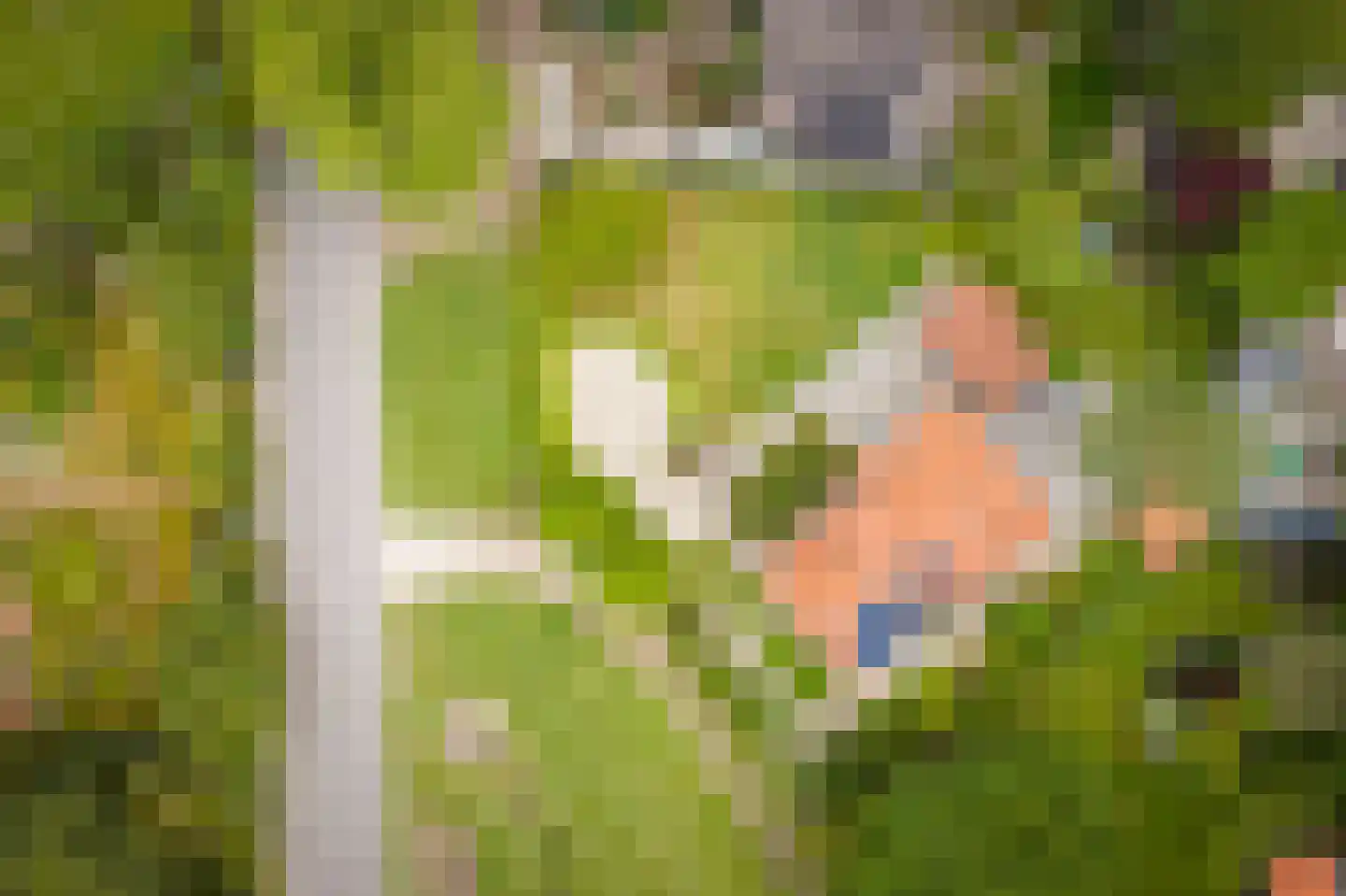 Gewestlaan 2 Diepenveen thumbnail 61