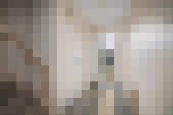 Gewestlaan 39 Diepenveen thumbnail 12