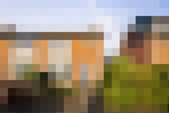 Gewestlaan 39 Diepenveen thumbnail 25