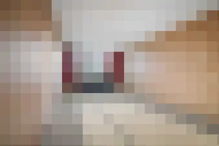 Gewestlaan 39 Diepenveen thumbnail 6