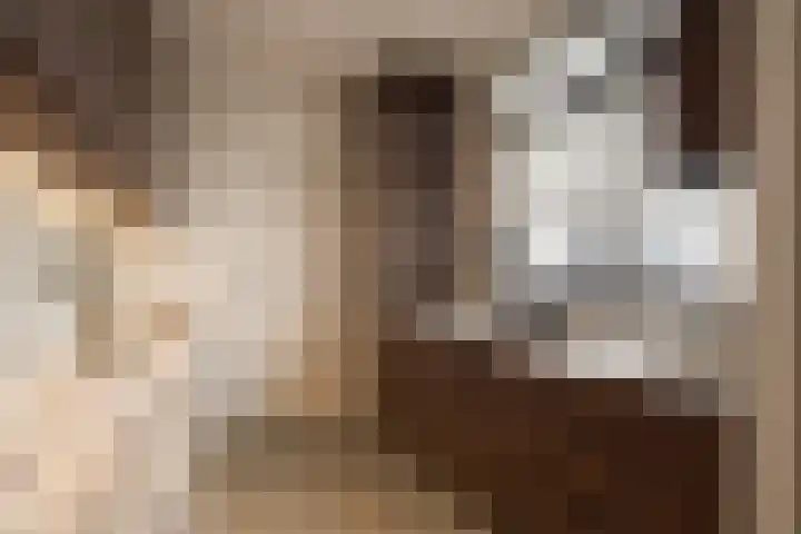 Gewestlaan 39 Diepenveen thumbnail 9