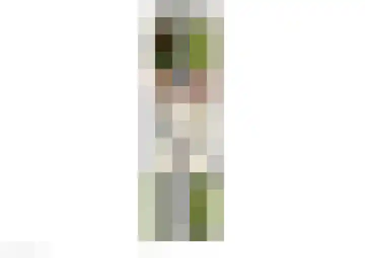 Gewestlaan 46 Diepenveen thumbnail 26