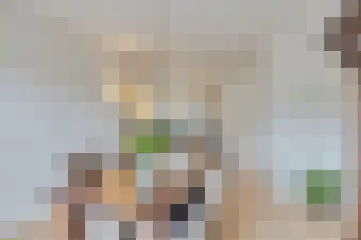 Geyaartsborg 16 Maastricht thumbnail 11