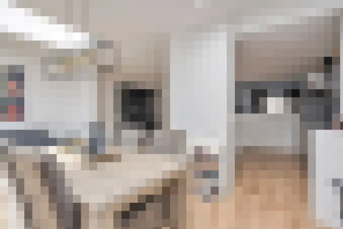 Geyaartsborg 54 Maastricht thumbnail 12