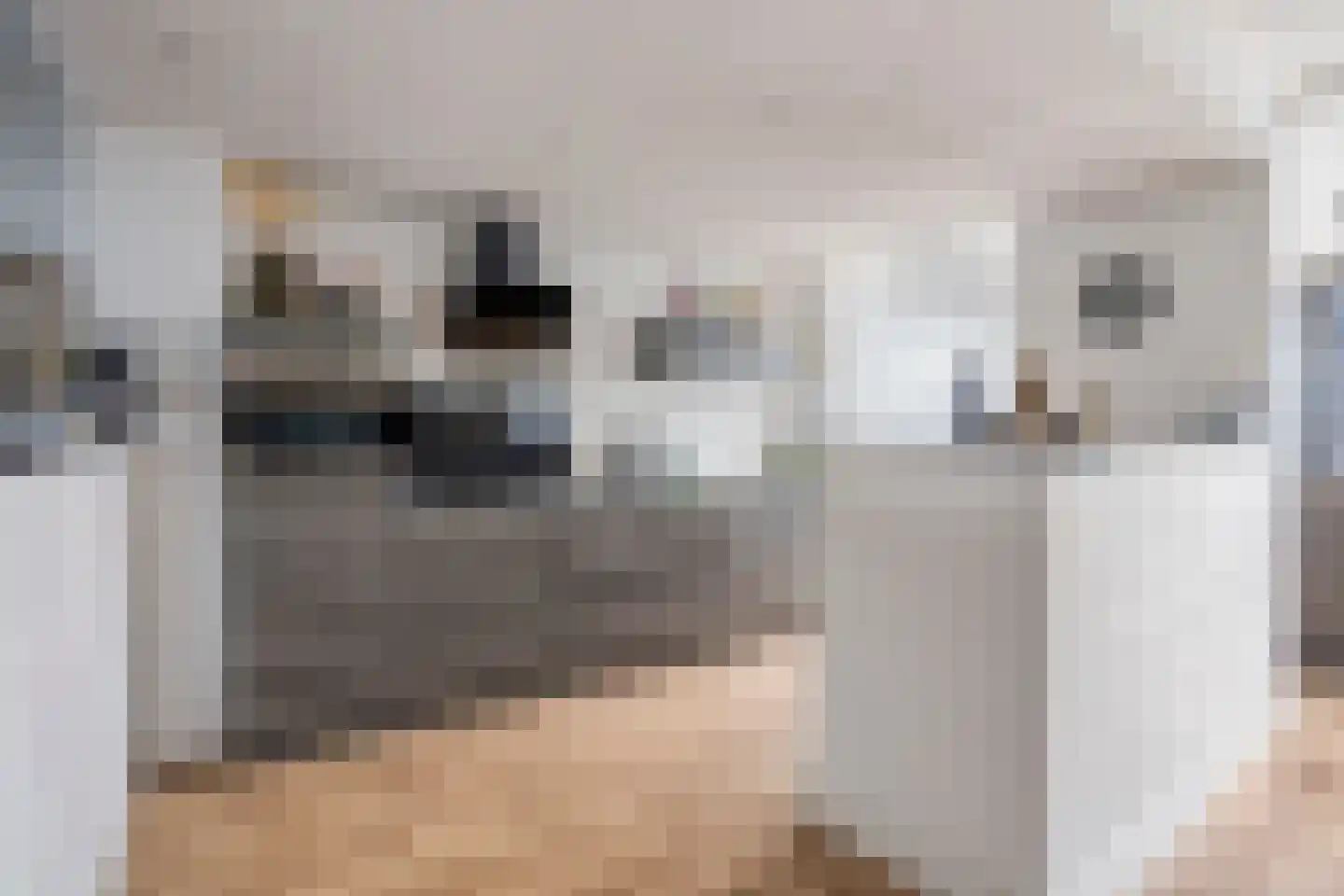 Geyaartsborg 54 Maastricht thumbnail 15