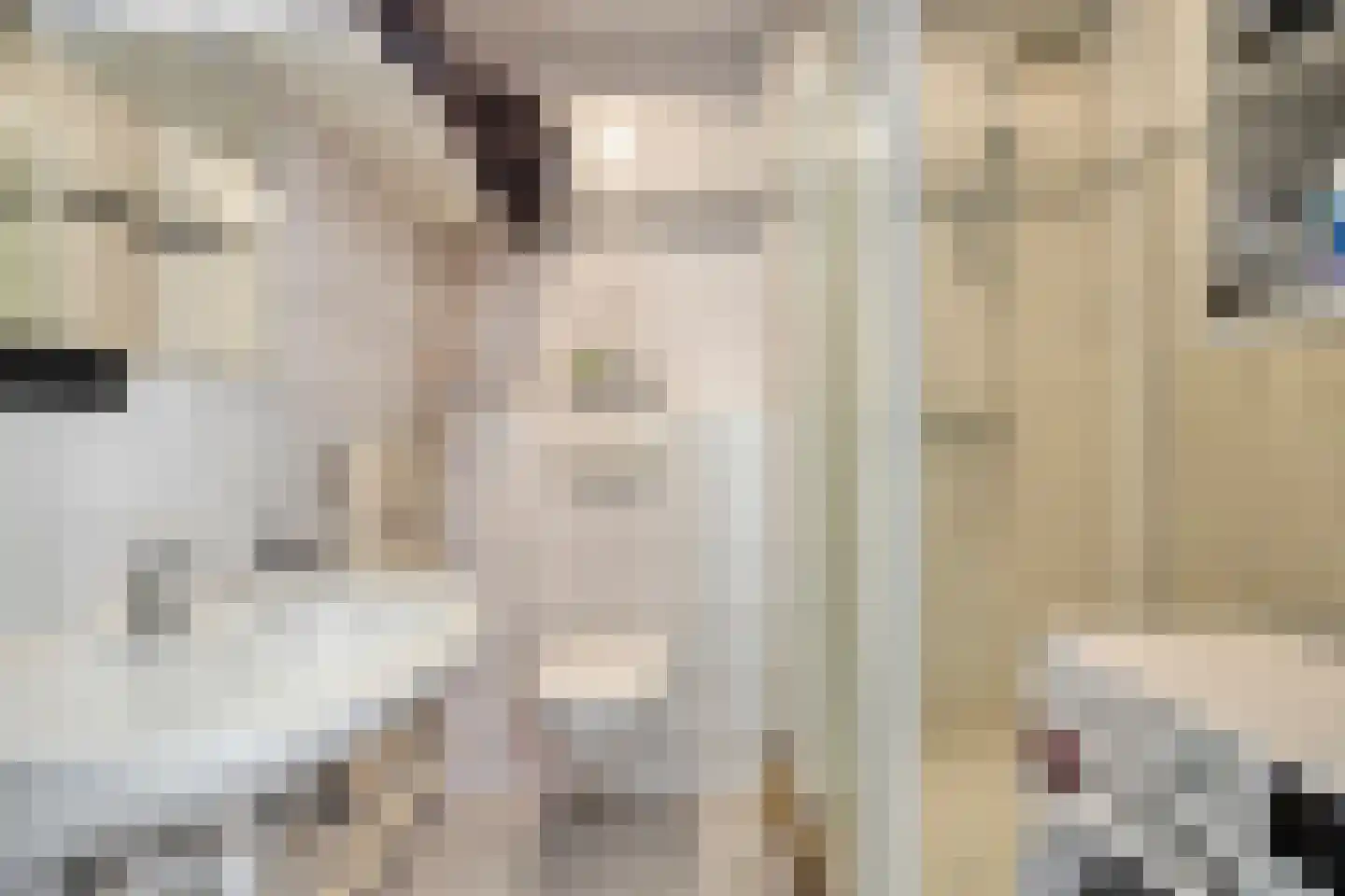 Geyaartsborg 54 Maastricht thumbnail 20
