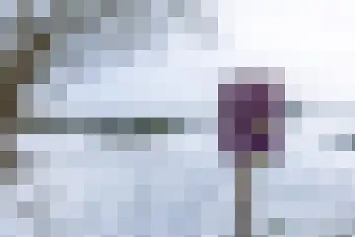 Geysendorfferstraat 31 Bussum thumbnail 36