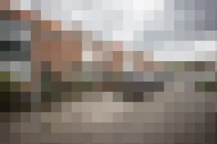 Geysendorfferstraat 33 's-Hertogenbosch thumbnail 28