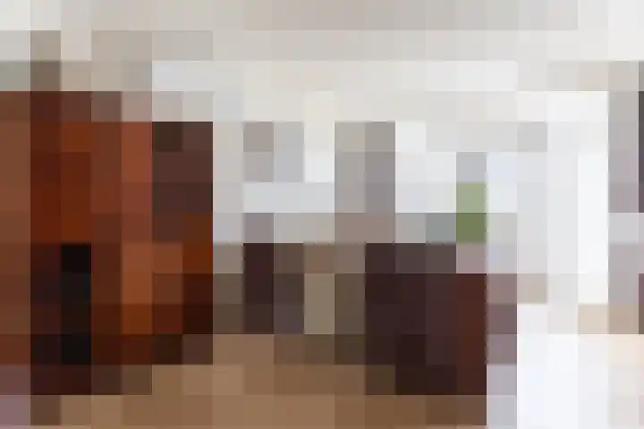 Geysendorfferstraat 33 's-Hertogenbosch thumbnail 7