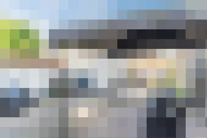 Geysendorfferstraat 35 's-Hertogenbosch thumbnail 32