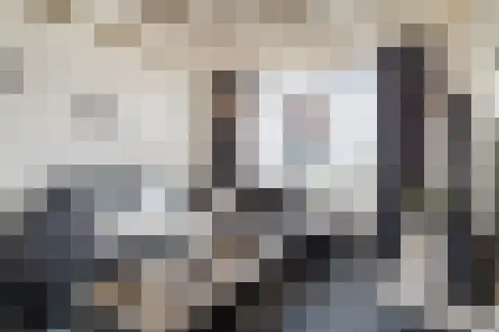 Geysendorfferstraat 35 's-Hertogenbosch thumbnail 9