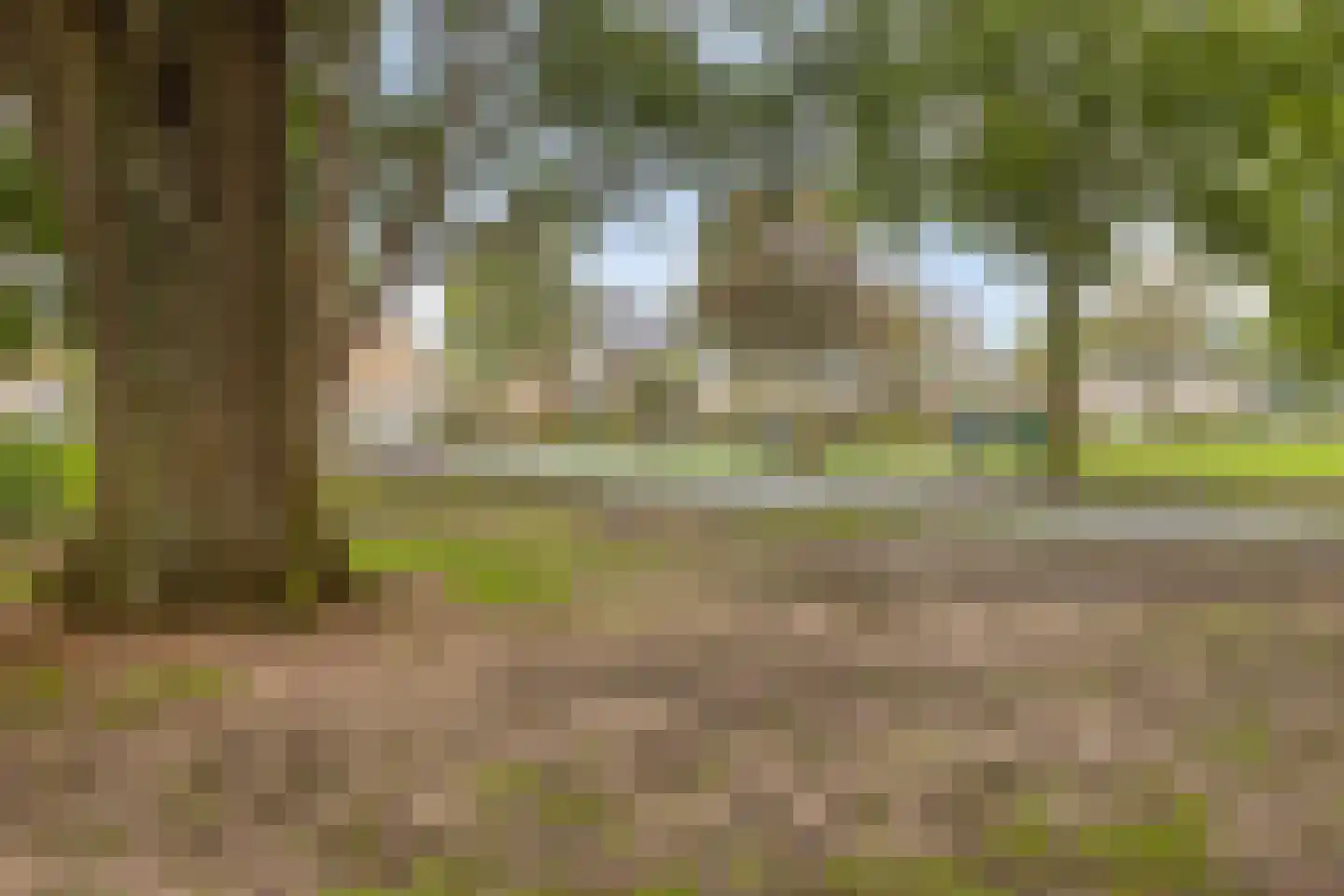 Geysendorfferstraat 5 's-Hertogenbosch thumbnail 24