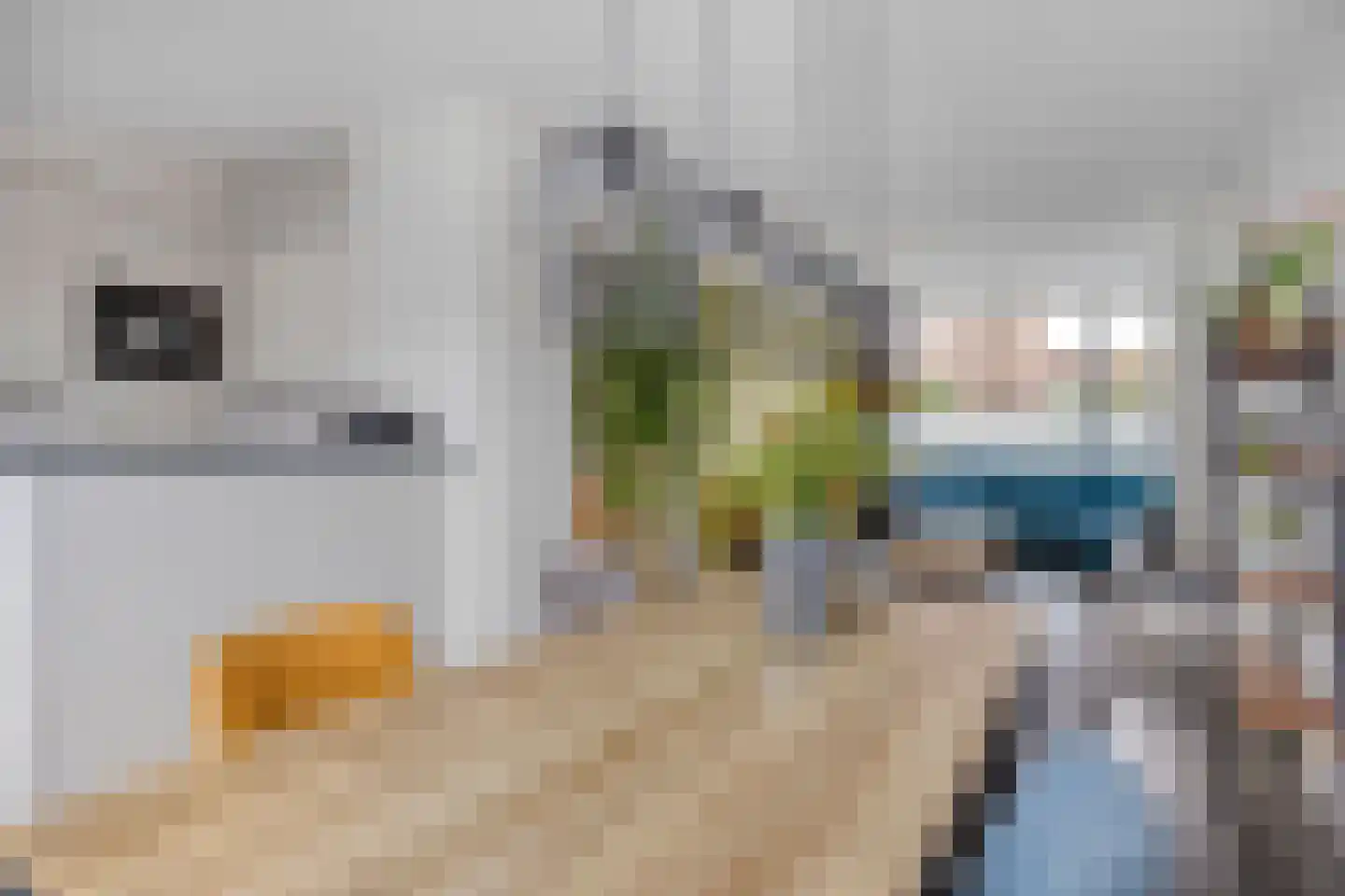 Geysendorfferstraat 5 's-Hertogenbosch thumbnail 4