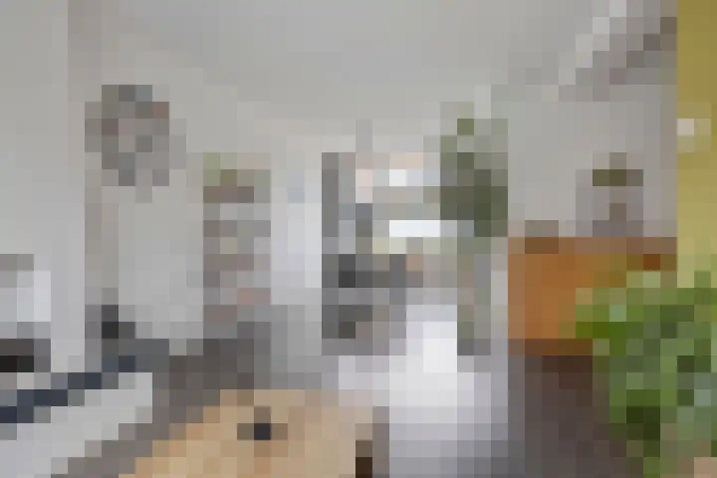 Geysendorfferstraat 5 's-Hertogenbosch thumbnail 7