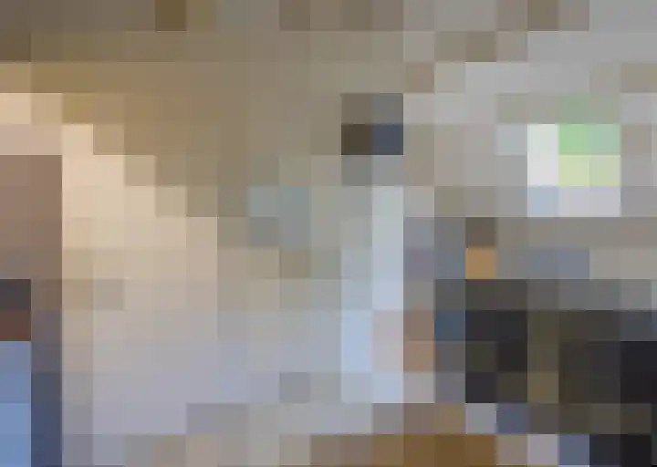 Geysselberg 31 Wellerlooi thumbnail 17