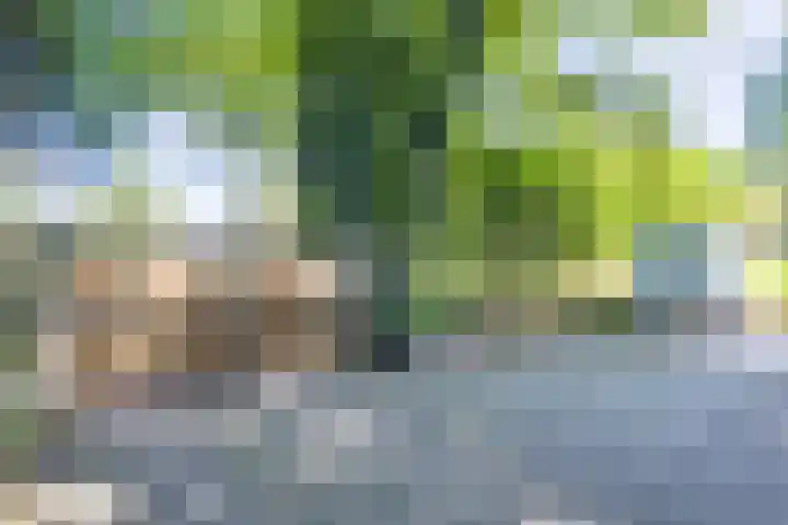 Geysselberg 31 Wellerlooi thumbnail 30