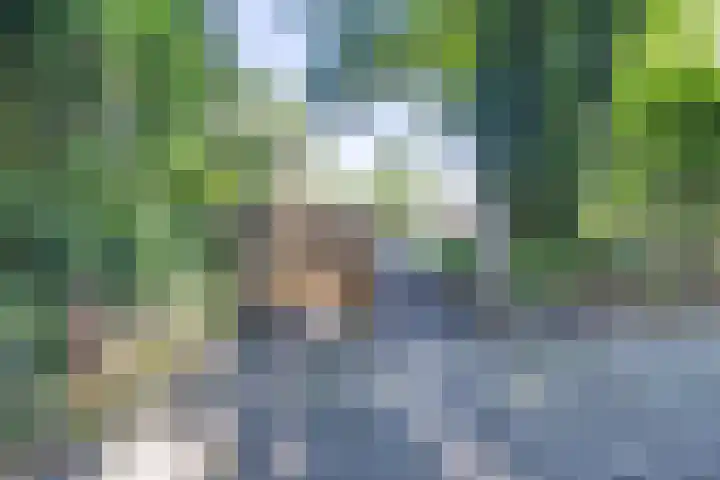 Geysselberg 31 Wellerlooi thumbnail 31