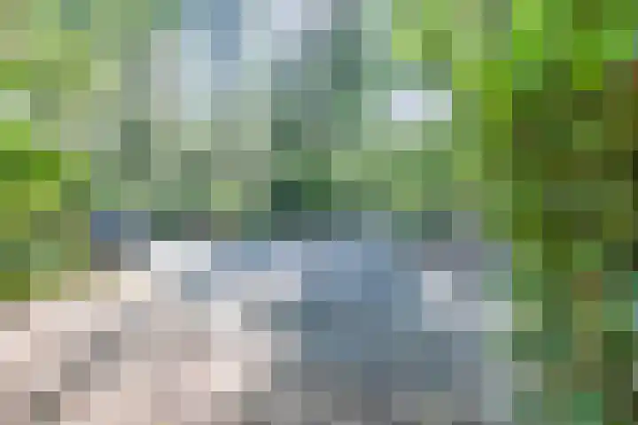 Geysselberg 31 Wellerlooi thumbnail 34