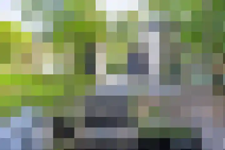 Geysselberg 31 Wellerlooi thumbnail 36