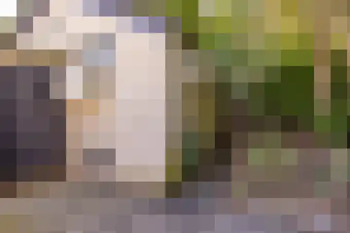Geysselberg 31 Wellerlooi thumbnail 37