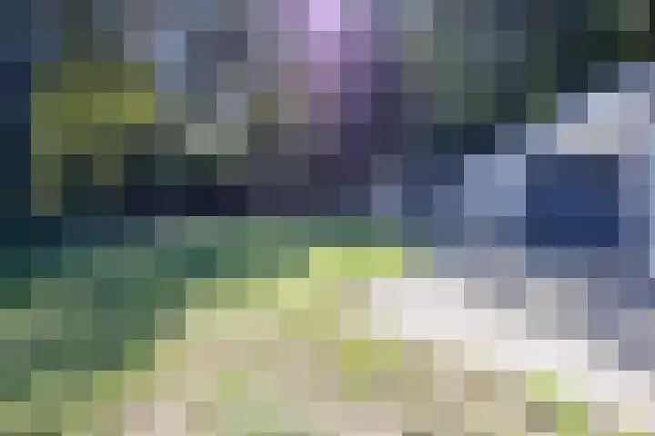 Geysselberg 31 Wellerlooi thumbnail 41