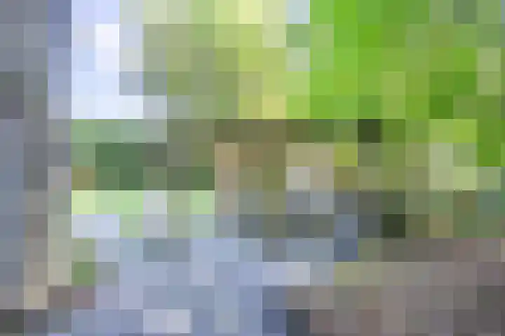Geysselberg 31 Wellerlooi thumbnail 43