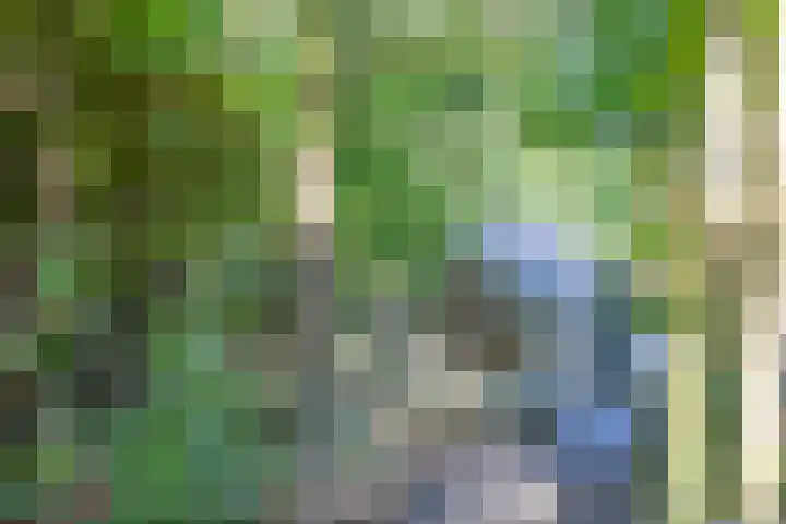 Geysselberg 31 Wellerlooi thumbnail 47