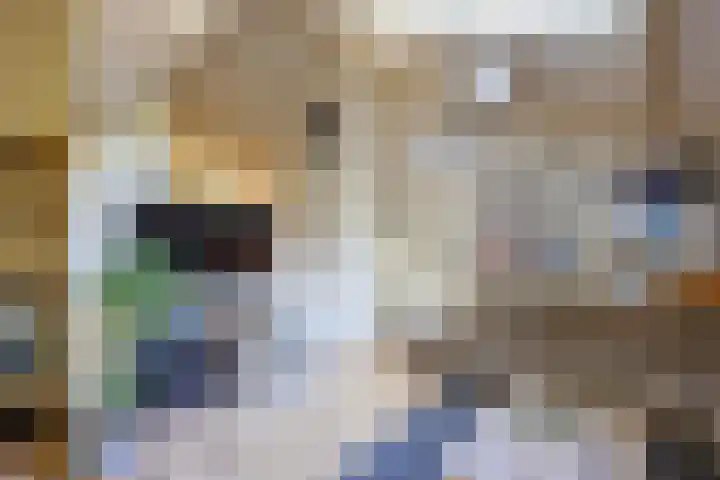 Geysselberg 31 Wellerlooi thumbnail 7