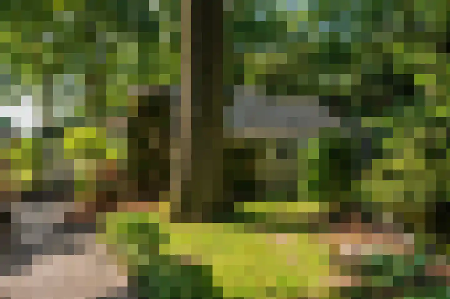 Geysselberg 40 Wellerlooi thumbnail 4