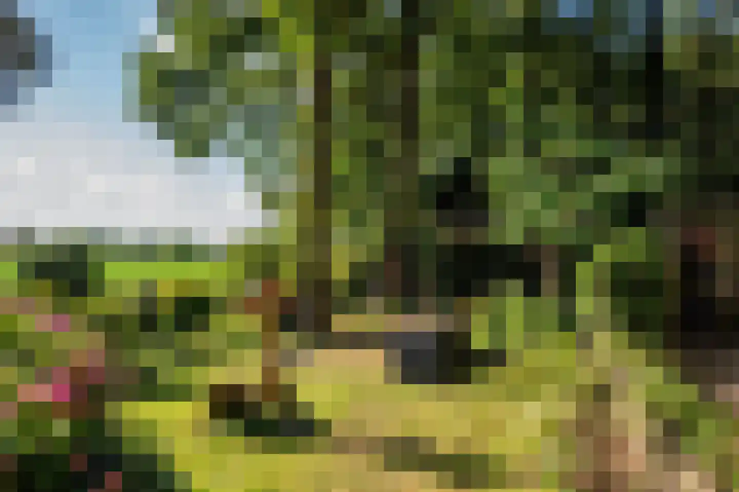 Geysselberg 40 Wellerlooi thumbnail 6
