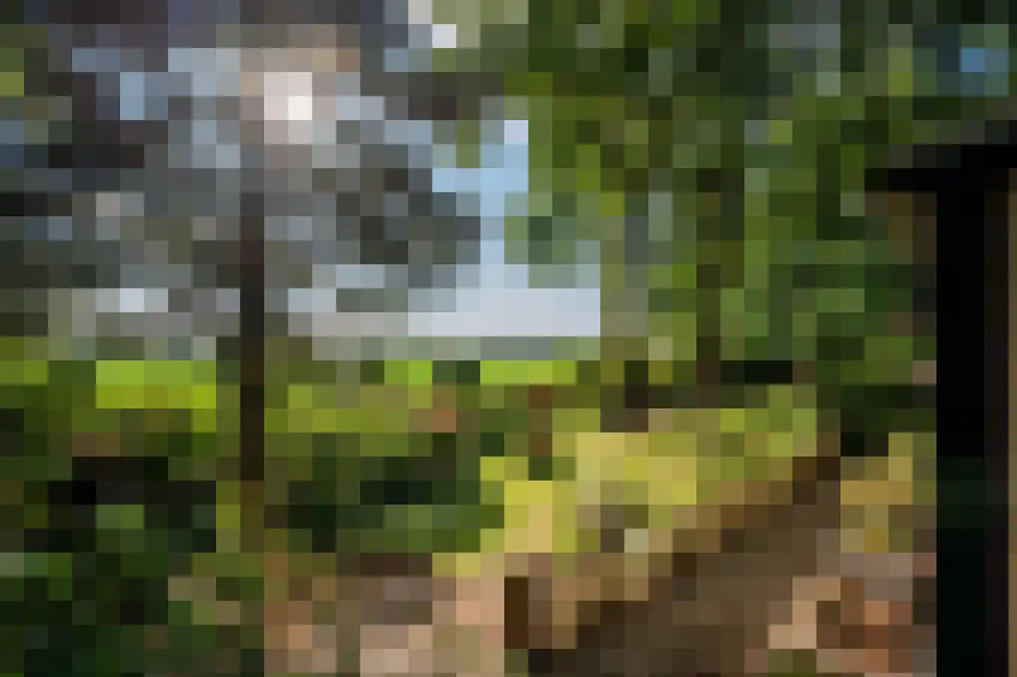 Geysselberg 40 Wellerlooi thumbnail 64