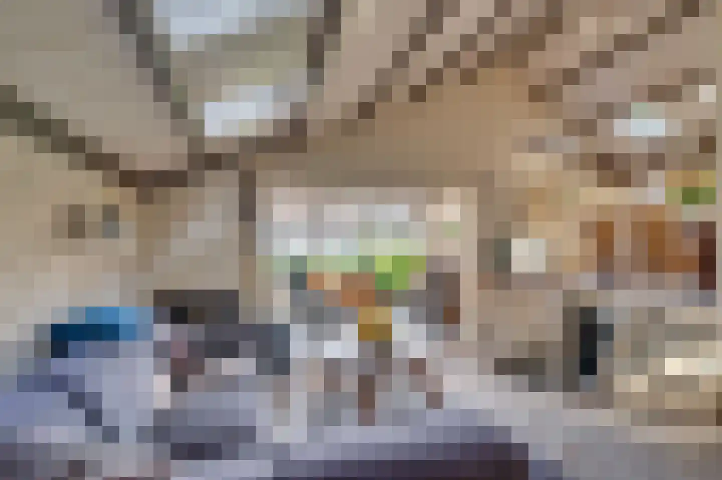 Geysselberg 40 Wellerlooi thumbnail 8
