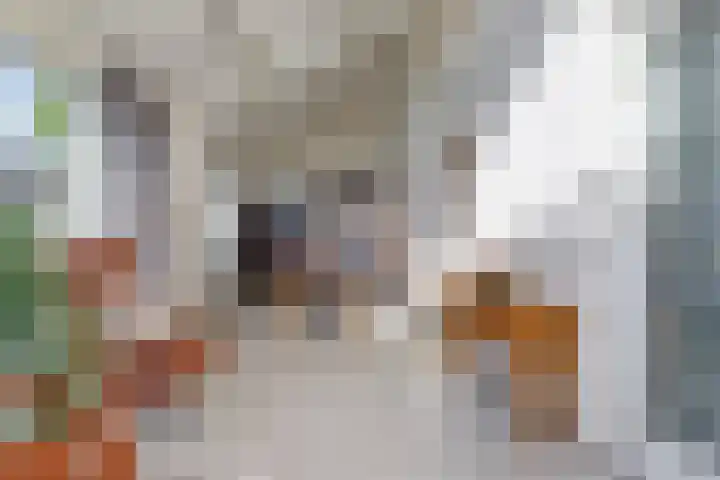 Geysterseweg 8 A Oostrum thumbnail 10