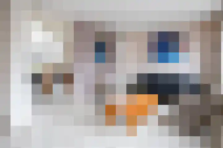 Geysterseweg 8 A Oostrum thumbnail 12