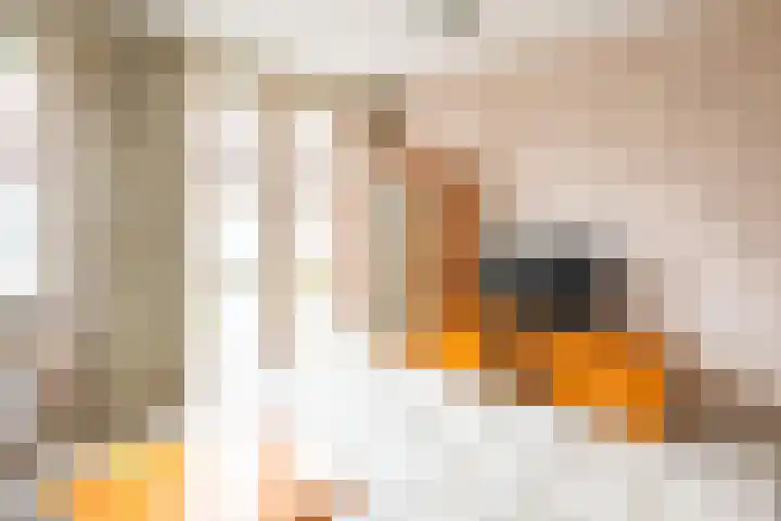 Geysterseweg 8 A Oostrum thumbnail 14