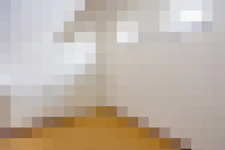 Geysterseweg 8 A Oostrum thumbnail 27