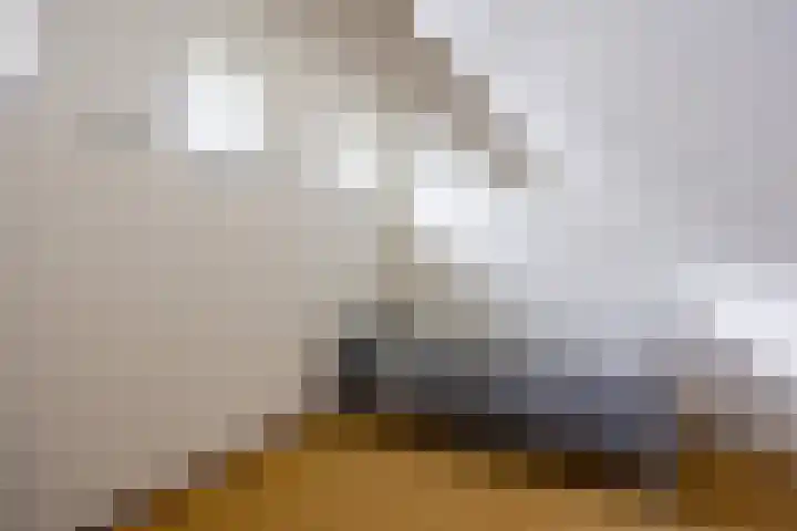 Geysterseweg 8 A Oostrum thumbnail 28