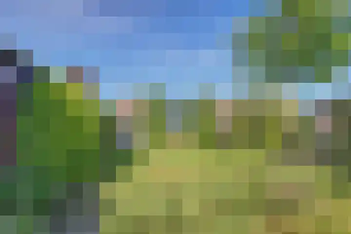 Geysterseweg 8 A Oostrum thumbnail 36