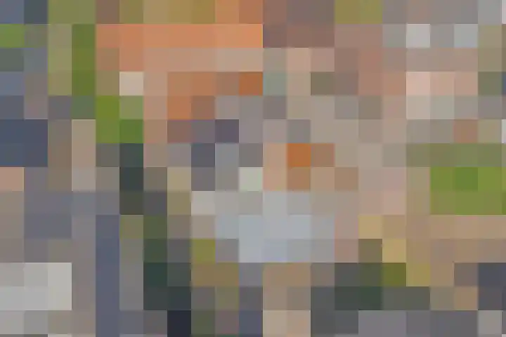 Geysterseweg 8 A Oostrum thumbnail 37