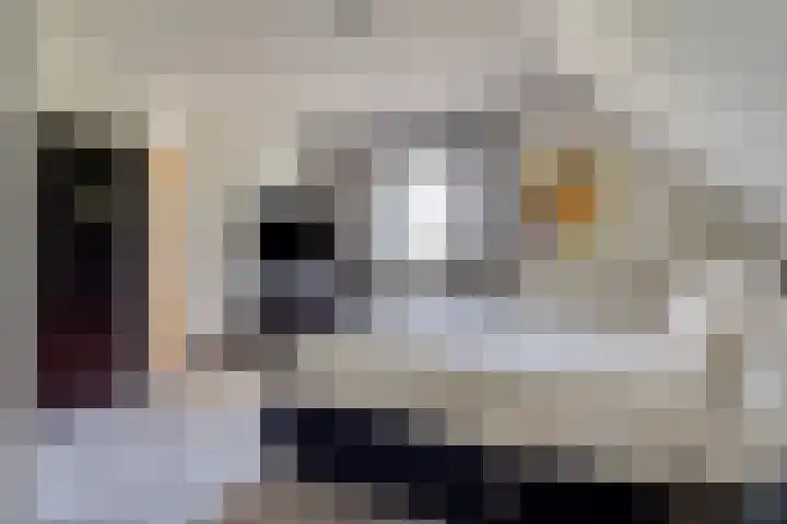 Gezandebaan 37 Heusden thumbnail 18