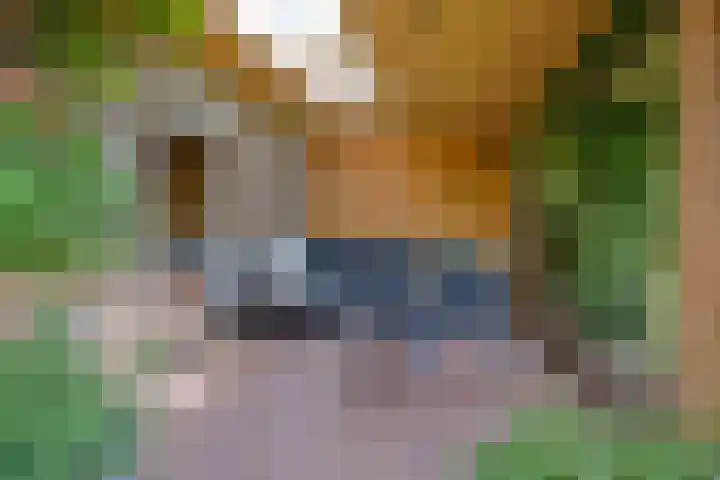Gezandebaan 37 Heusden thumbnail 36
