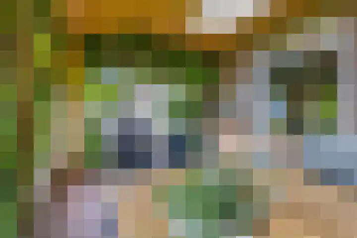 Gezandebaan 37 Heusden thumbnail 37