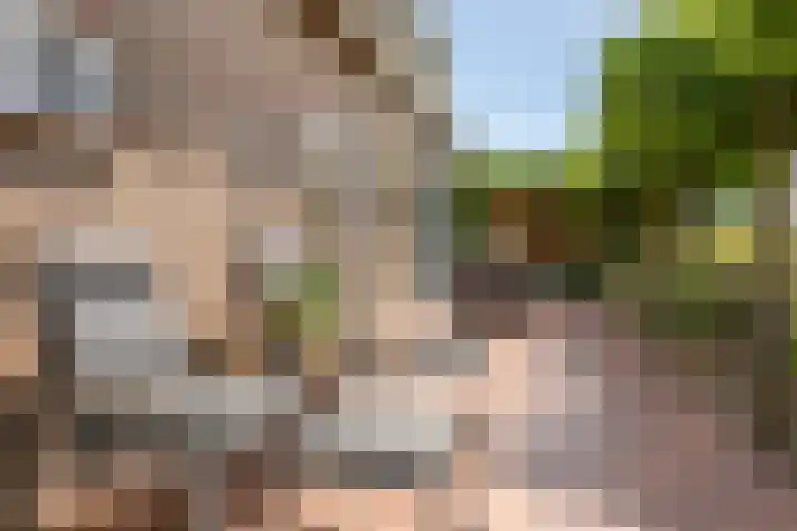 Gezandebaan 37 Heusden thumbnail 39