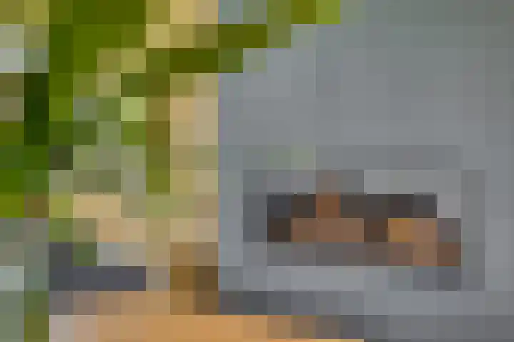 Gezandebaan 37 Heusden thumbnail 4