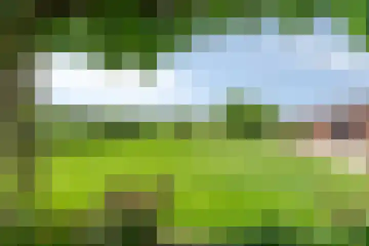 Gezandebaan 37 Heusden thumbnail 40