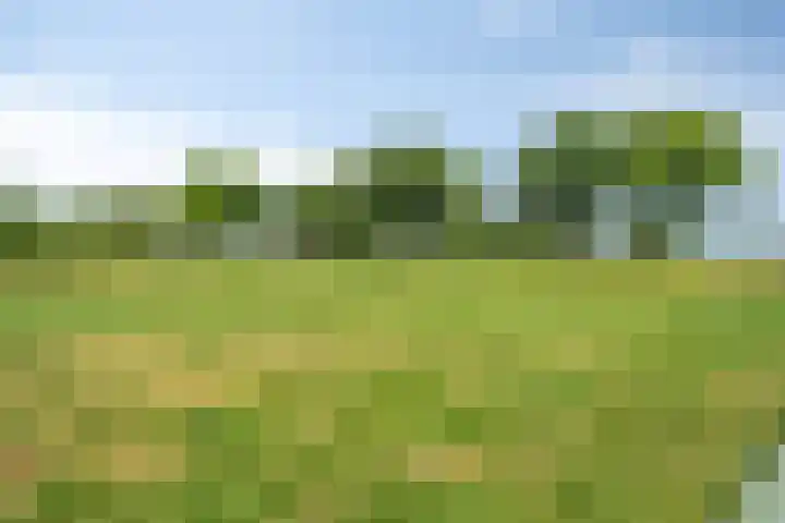 Gezandebaan 37 Heusden thumbnail 45