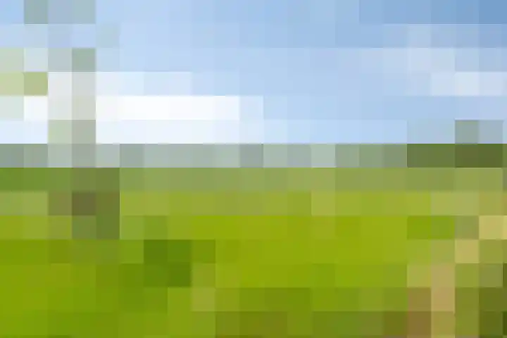 Gezandebaan 37 Heusden thumbnail 49