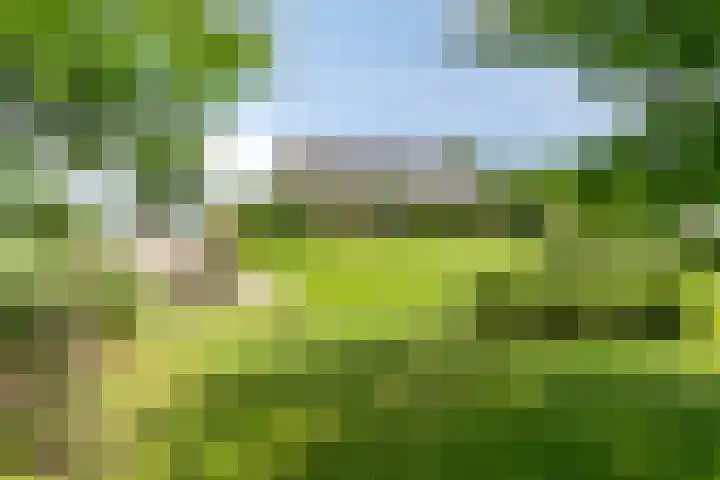 Gezandebaan 37 Heusden thumbnail 50